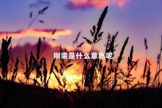 刚需是什么意思呢