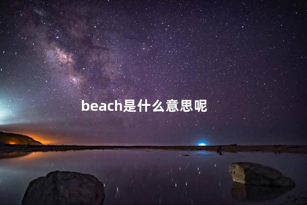 beach是什么意思呢