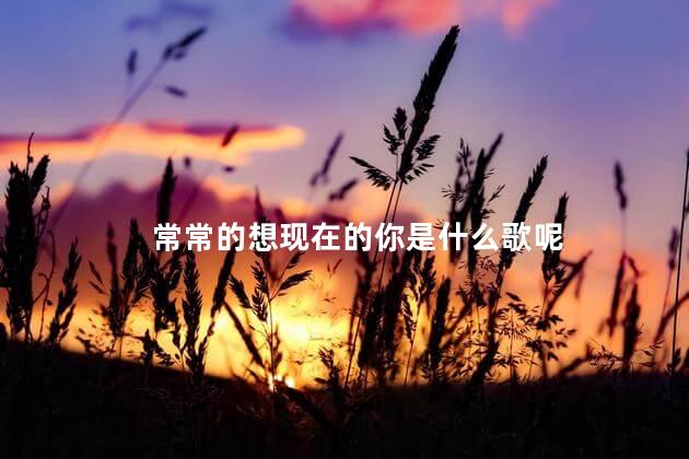 常常的想现在的你是什么歌呢