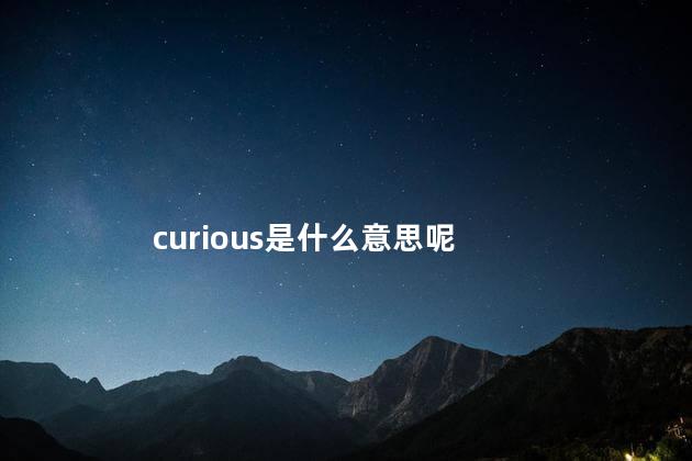 curious是什么意思呢