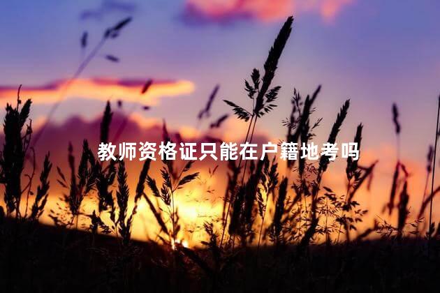 教师资格证只能在户籍地考吗