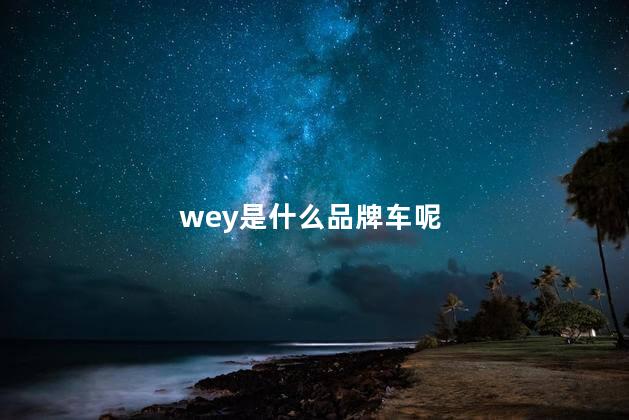 wey是什么品牌车呢