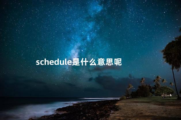 schedule是什么意思呢