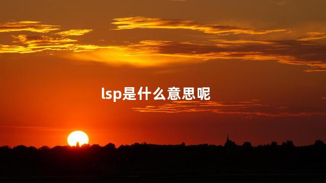 lsp是什么意思呢