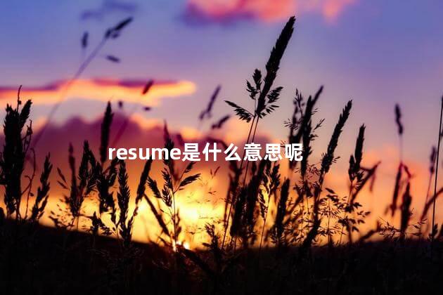 resume是什么意思呢