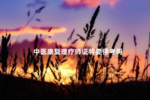 中医康复理疗师证将要停考吗