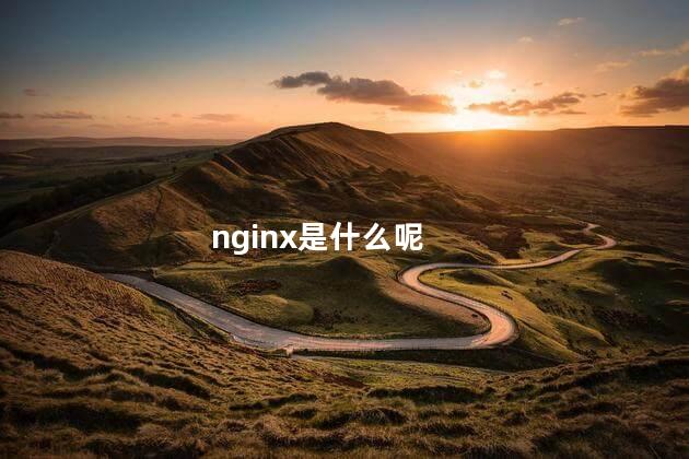 nginx是什么呢