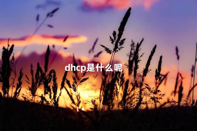 dhcp是什么呢