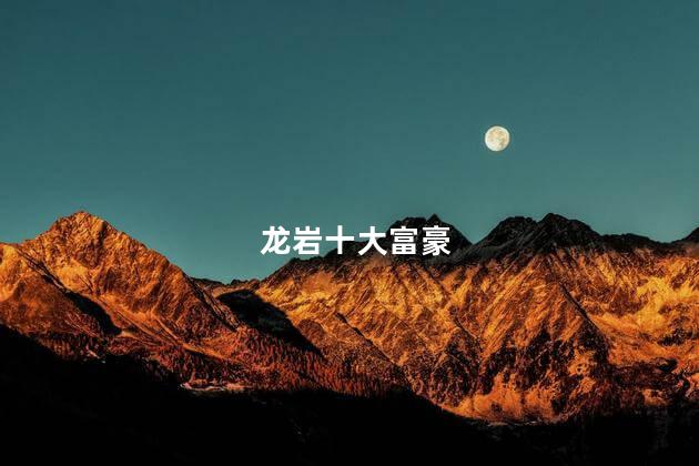 龙岩十大富豪