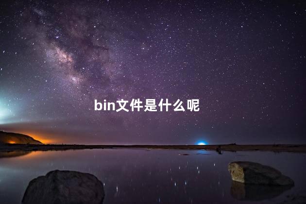 bin文件是什么呢