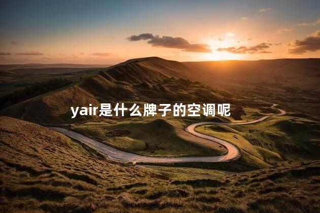 yair是什么牌子的空调呢