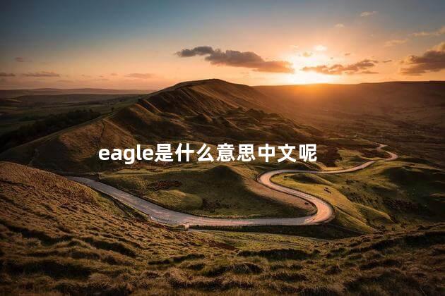 eagle是什么意思中文呢