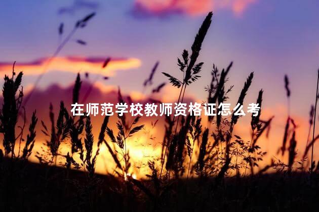 在师范学校教师资格证怎么考