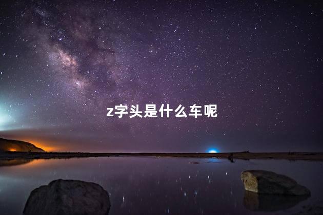 z字头是什么车呢