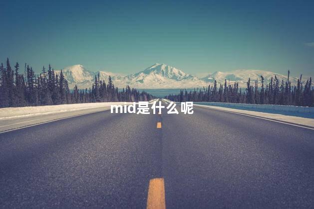 mid是什么呢