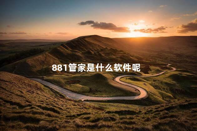 881管家是什么软件呢