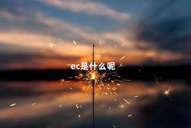 ec是什么呢