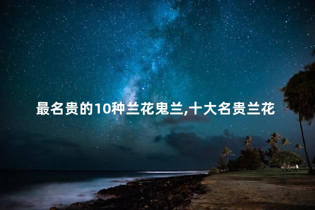 最名贵的10种兰花鬼兰,十大名贵兰花鬼兰