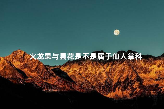 火龙果与昙花是不是属于仙人掌科，火龙果昙花都是仙人掌科吗